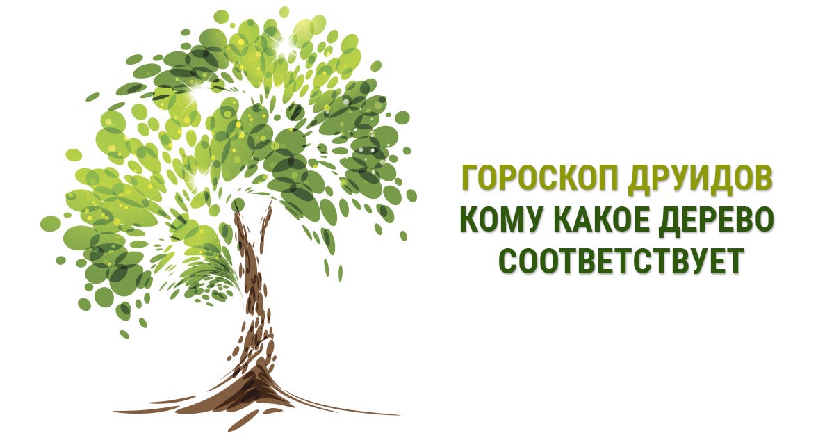 Дерево 25. Друиды гороскоп деревьев. Деревья друидов по знакам зодиака. Дерево по имени. Друидов орешник.